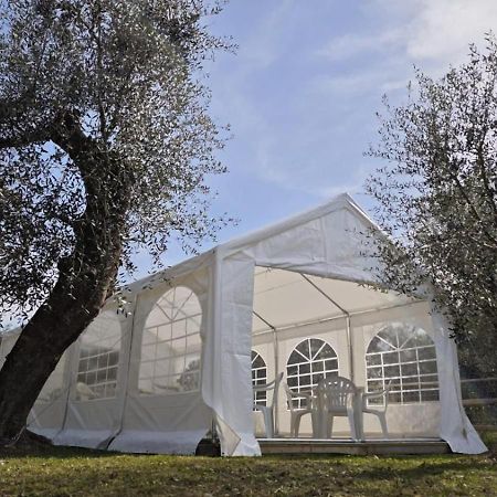 Appartamento Alba Dachi Farm Marina dʼMarina dʼAndora Buitenkant foto