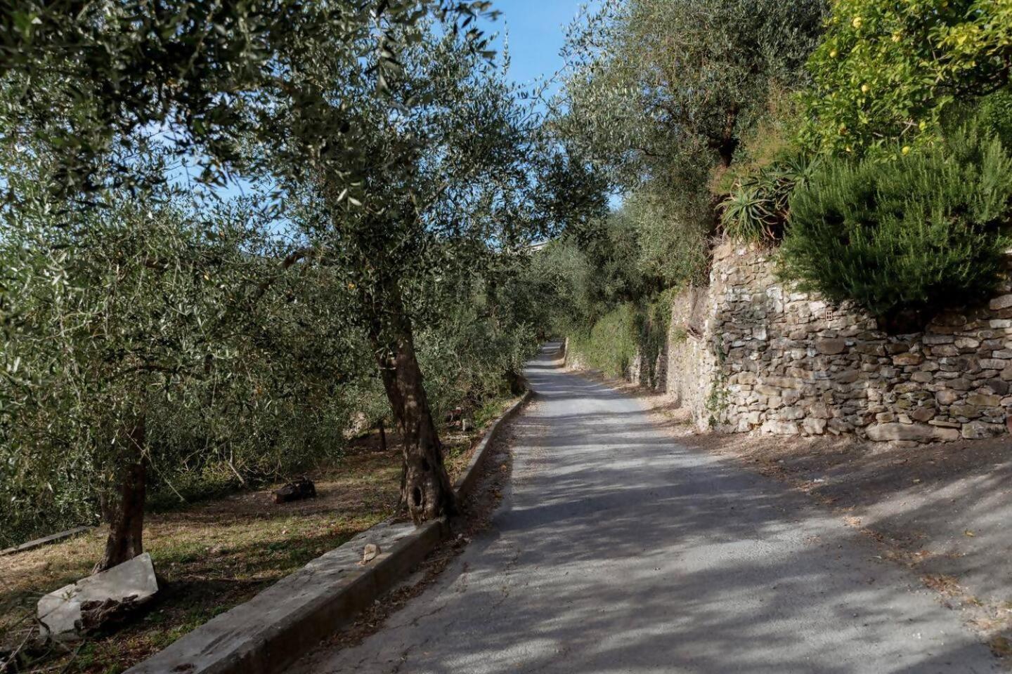 Appartamento Alba Dachi Farm Marina dʼMarina dʼAndora Buitenkant foto