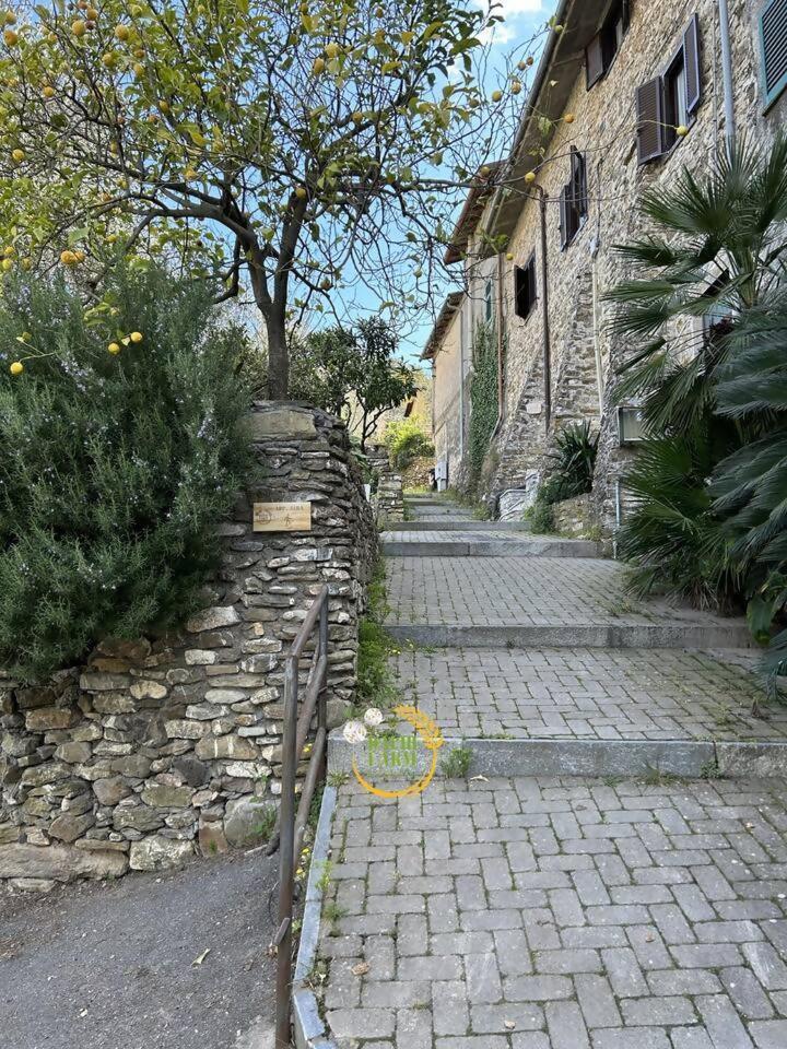 Appartamento Alba Dachi Farm Marina dʼMarina dʼAndora Buitenkant foto