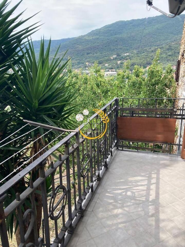 Appartamento Alba Dachi Farm Marina dʼMarina dʼAndora Buitenkant foto