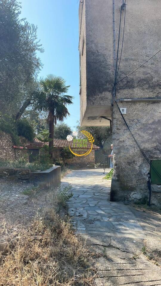 Appartamento Alba Dachi Farm Marina dʼMarina dʼAndora Buitenkant foto