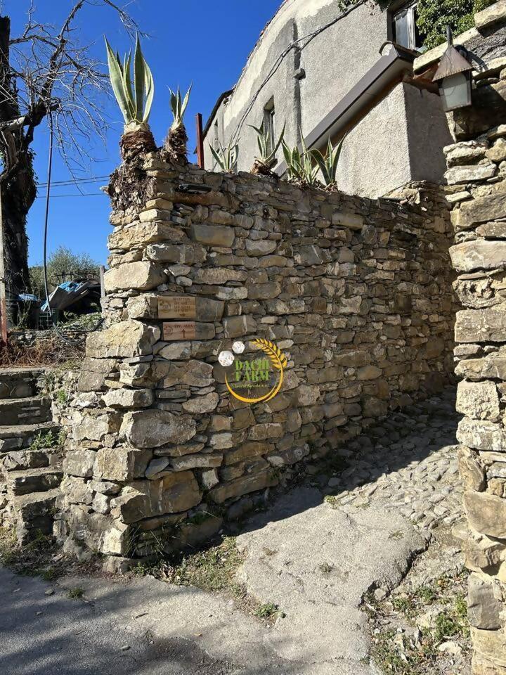 Appartamento Alba Dachi Farm Marina dʼMarina dʼAndora Buitenkant foto