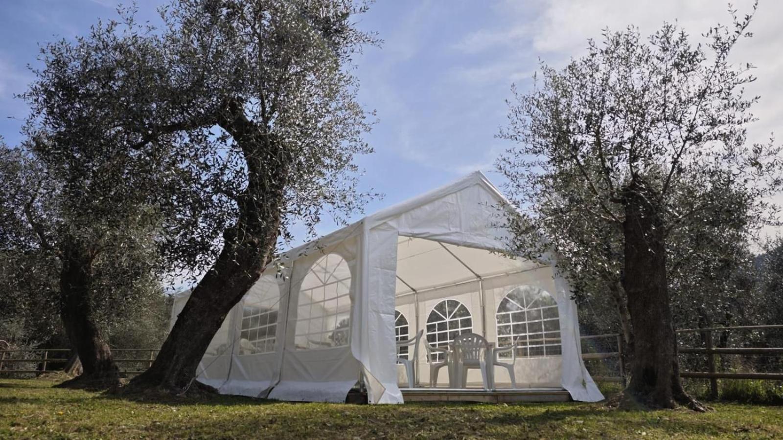 Appartamento Alba Dachi Farm Marina dʼMarina dʼAndora Buitenkant foto