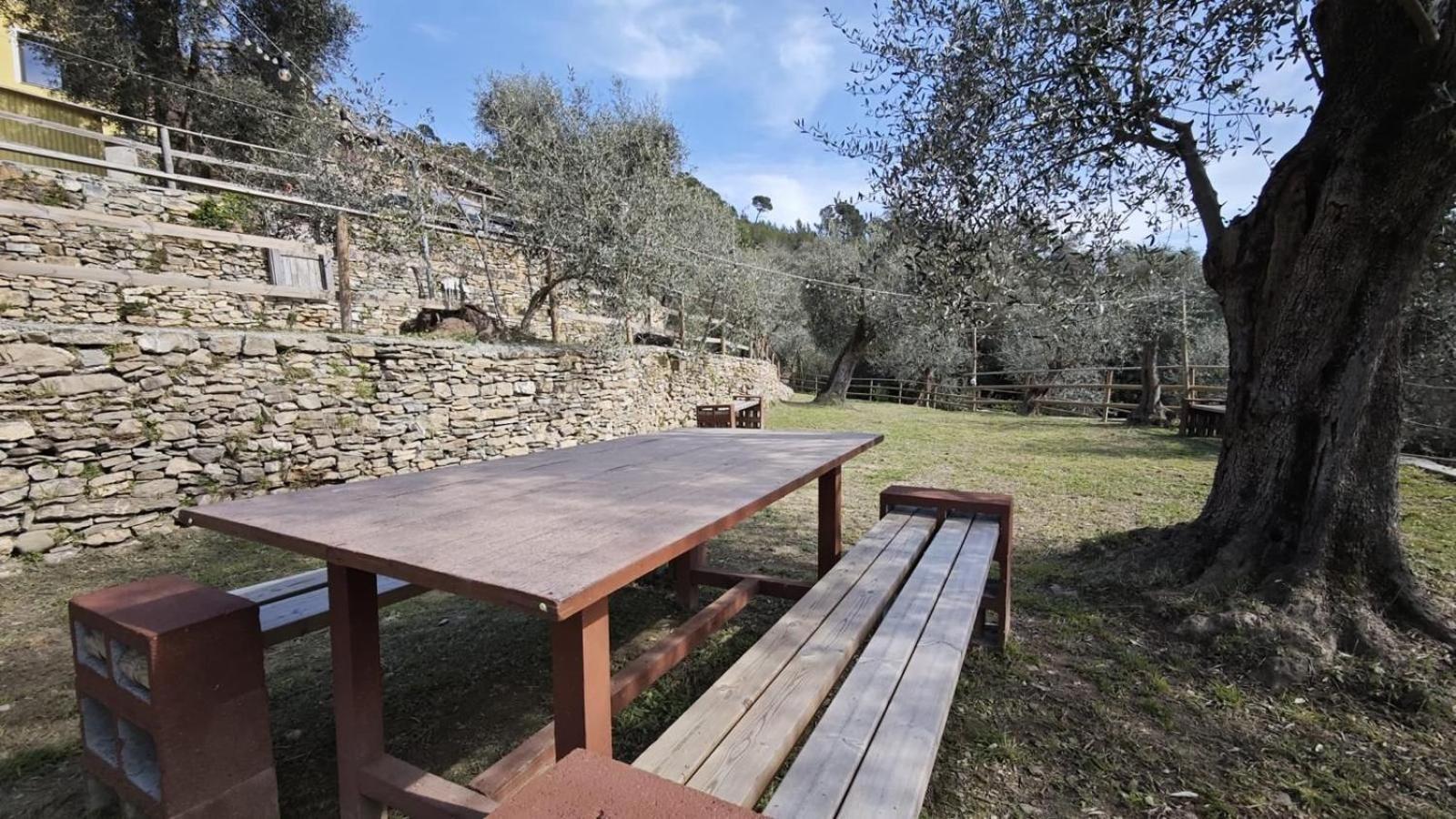 Appartamento Alba Dachi Farm Marina dʼMarina dʼAndora Buitenkant foto