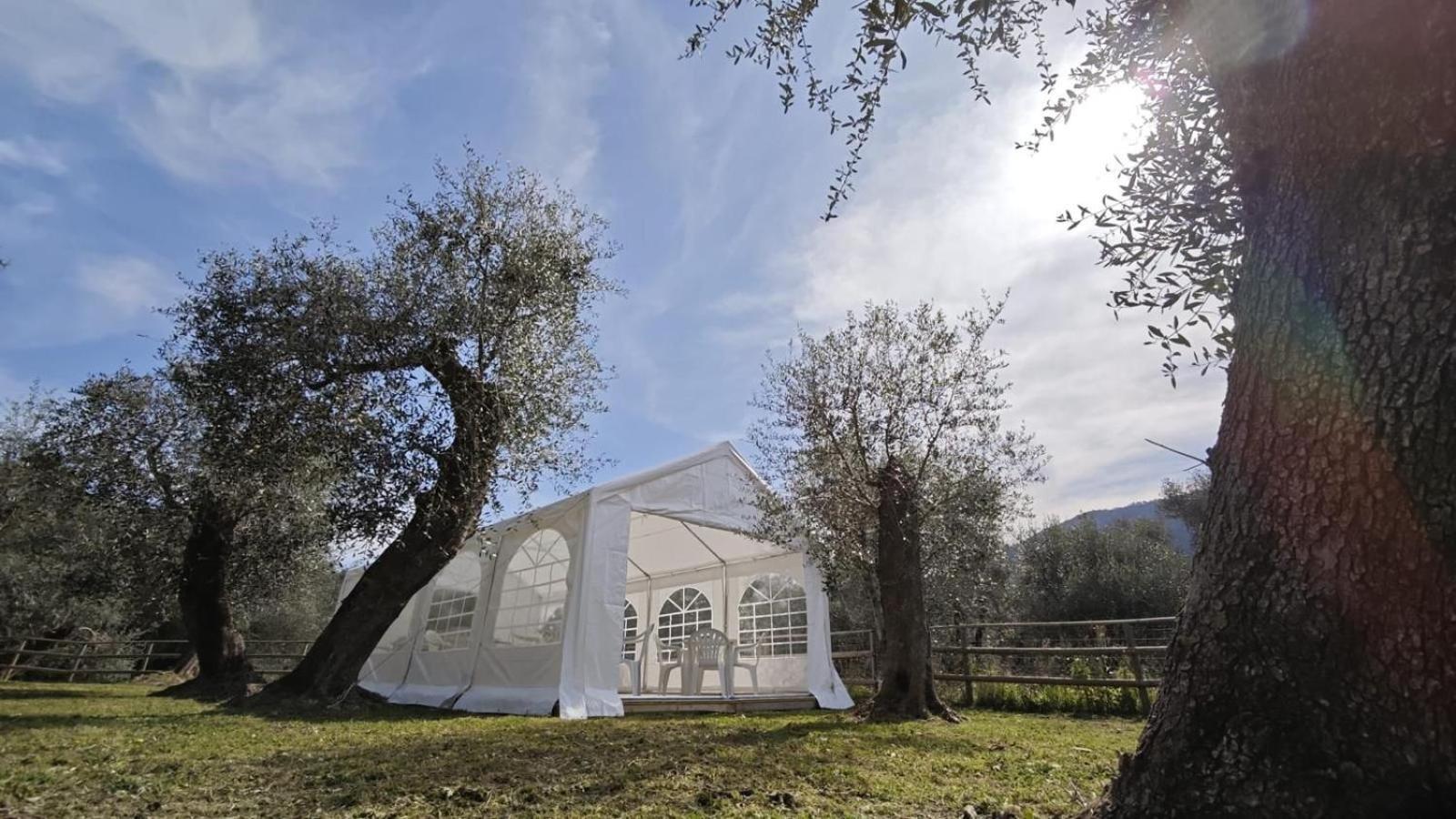 Appartamento Alba Dachi Farm Marina dʼMarina dʼAndora Buitenkant foto